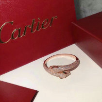 Cartier-Bracelet (275)