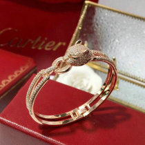 Cartier-Bracelet (257)