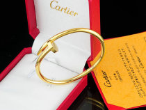 Cartier-Bracelet (398)