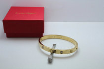 Cartier-Bracelet (508)