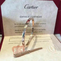 Cartier-Bracelet (576)