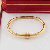 Cartier-Bracelet (341)