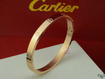 Cartier-Bracelet (461)