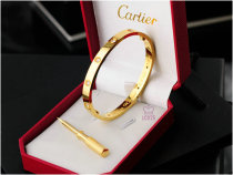 Cartier-Bracelet (406)