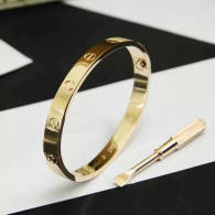 Cartier-Bracelet (542)