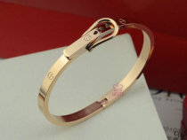 Cartier-Bracelet (458)