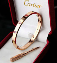 Cartier-Bracelet (475)