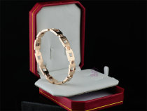 Cartier-Bracelet (437)