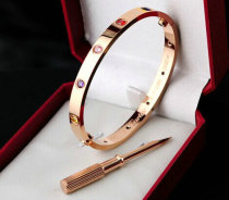 Cartier-Bracelet (481)