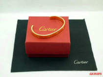 Cartier-Bracelet (212)