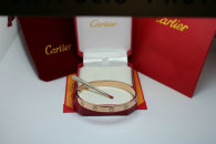 Cartier-Bracelet (524)