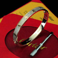 Cartier-Bracelet (536)
