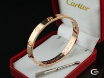 Cartier-Bracelet (394)