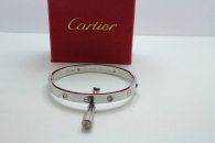 Cartier-Bracelet (509)