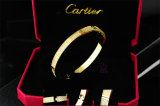 Cartier-Bracelet (451)