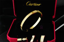 Cartier-Bracelet (451)