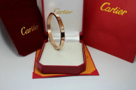 Cartier-Bracelet (531)