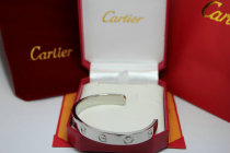 Cartier-Bracelet (214)