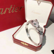 Cartier-Bracelet (267)