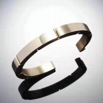 Cartier-Bracelet (359)