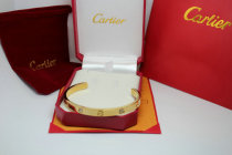 Cartier-Bracelet (216)