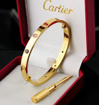 Cartier-Bracelet (479)