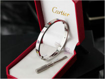 Cartier-Bracelet (405)