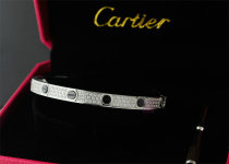 Cartier-Bracelet (442)