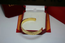 Cartier-Bracelet (215)