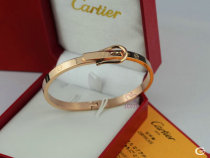 Cartier-Bracelet (448)