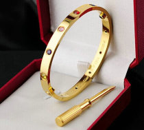 Cartier-Bracelet (480)