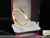 Cartier-Bracelet (420)