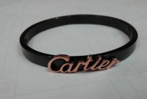 Cartier-Bracelet (484)