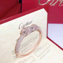 Cartier-Bracelet (272)