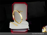Cartier-Bracelet (415)