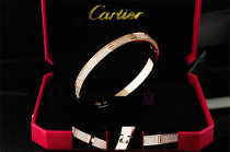Cartier-Bracelet (450)