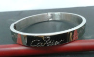 Cartier-Bracelet (538)