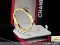 Cartier-Bracelet (421)