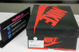 Authentic Nike SB x Air Jordan 1 Retro High OG Court Purple/Sail