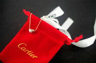 Cartier Necklace (6)