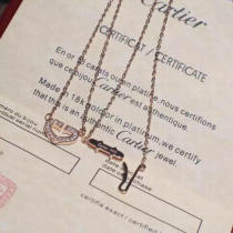 Cartier Necklace (26)