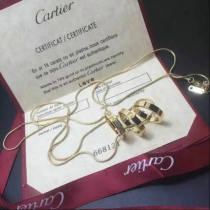 Cartier Necklace (25)