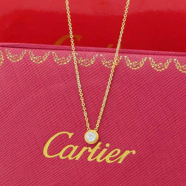 Cartier Necklace (37)