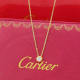 Cartier Necklace (37)