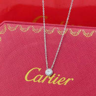 Cartier Necklace (38)