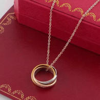 Cartier Necklace (39)