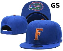 NCAA Florida Gators Snapback Hat (17)
