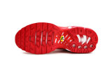 Nike Air Max TN Women shoes (43)