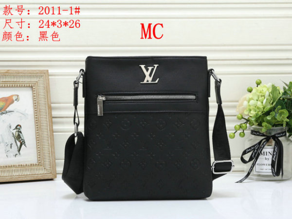 LV Bag (2)
