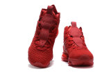 Nike LeBron 17 Shoes (22)